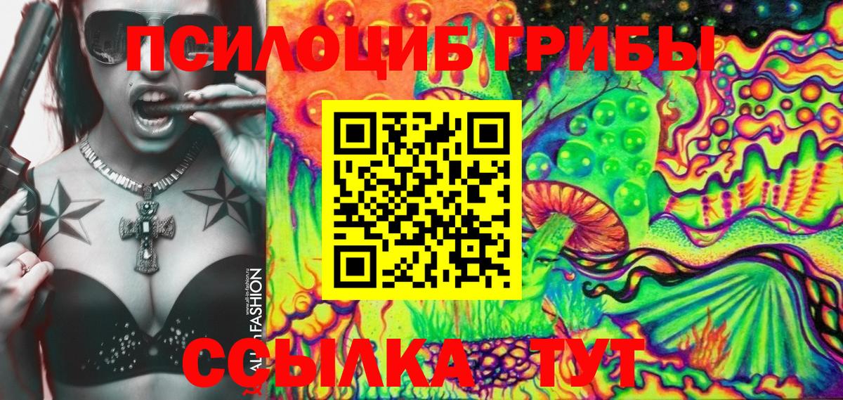 Псилоцибиновые грибы прущие грибы Серов