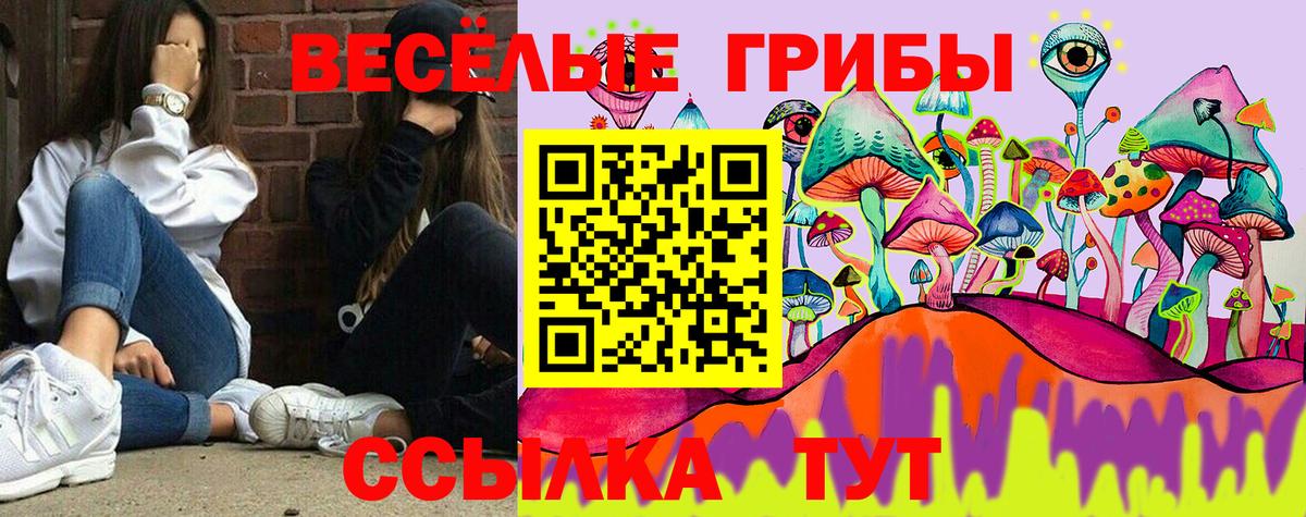 Галлюциногенные грибы Cubensis  Вход с VPN  Серов 